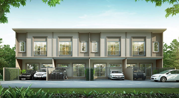 รูปภาพMaple 