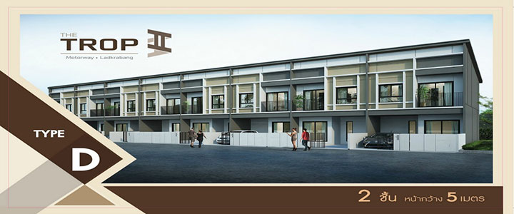 รูปภาพType D