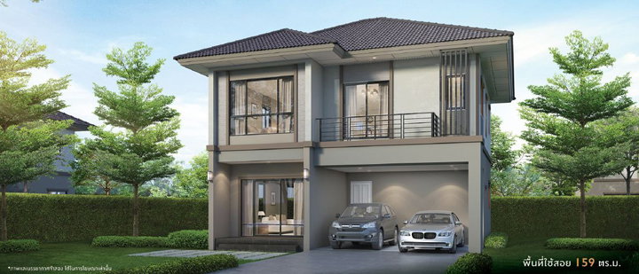 รูปภาพPlumosa