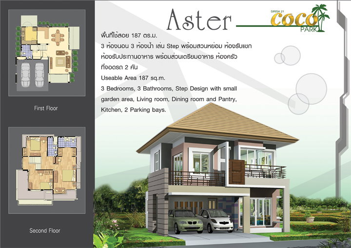 รูปภาพAster