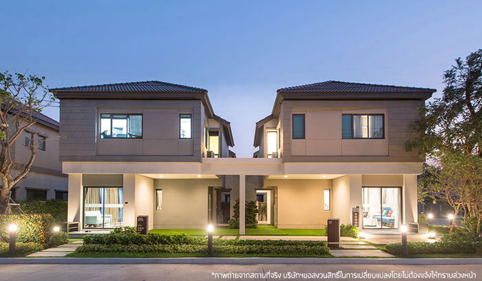 รูปภาพBirch