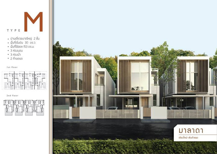รูปภาพType M