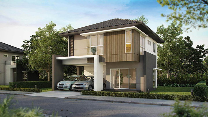 รูปภาพMaple