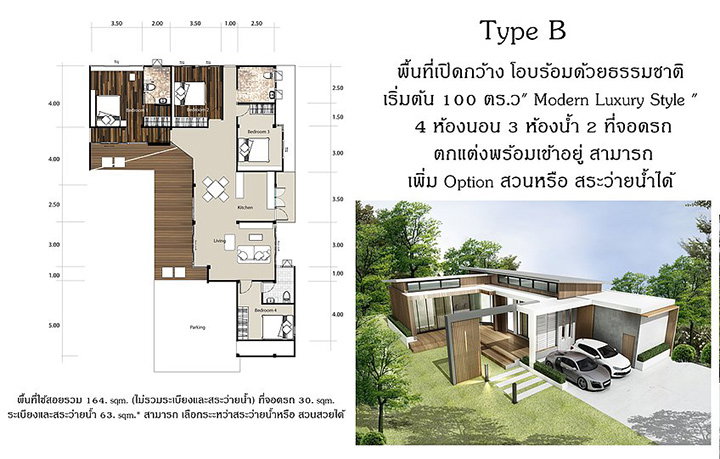 รูปภาพType B