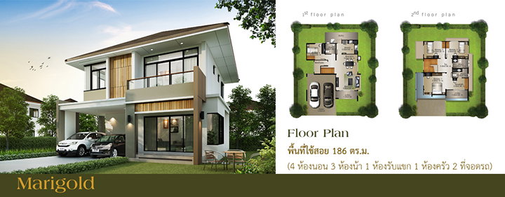 รูปภาพMari Gold