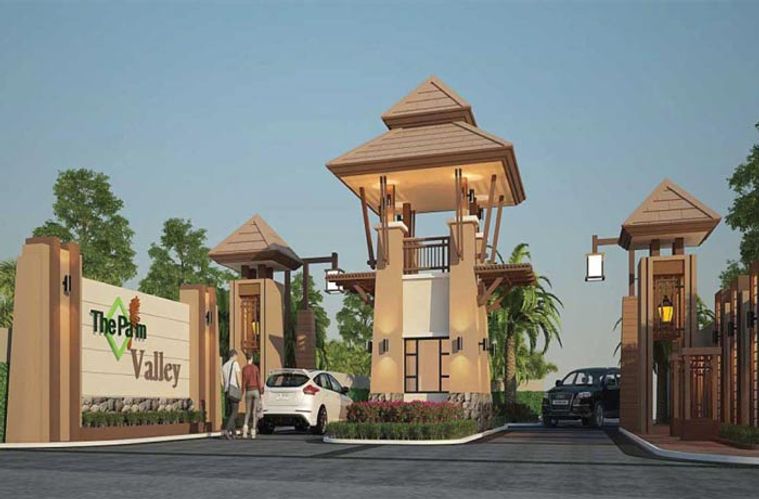 Thepalm vallay