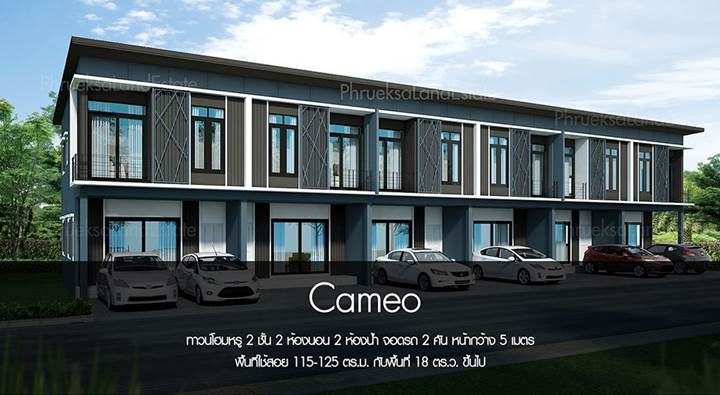 รูปภาพCameo