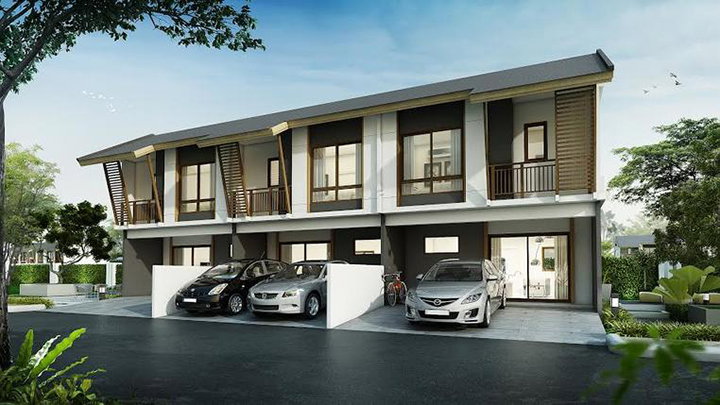 รูปภาพPinus B