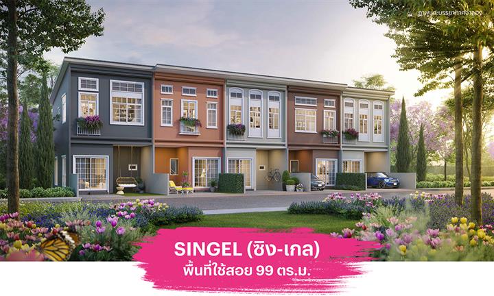 รูปภาพSINGEL