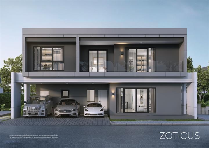 รูปภาพZOTICUS  