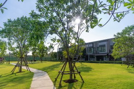 รูป Pleno Suksawat 30 Phase 2 - รูปที่ 4/11