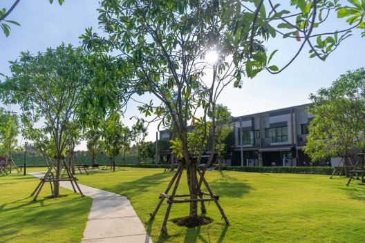 รูป Pleno Suksawat 30 Phase 2 - รูปที่ 4/11