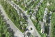 project-silverlake-park-suwinthawong-78-image-alt