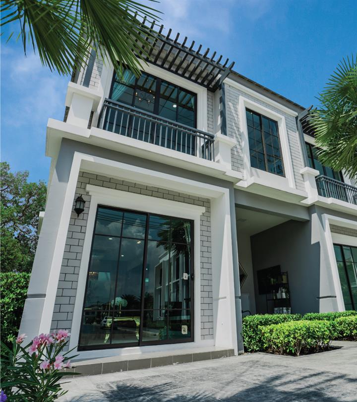 รูปภาพ Colony