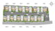 project-i-nine-greenhouse-image-alt