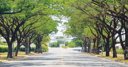 รูป Silverlake Park Suwinthawong 78 - รูปที่ 2/8