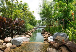 รูป Prinn Petchkasem 69 - รูปที่ 3/13