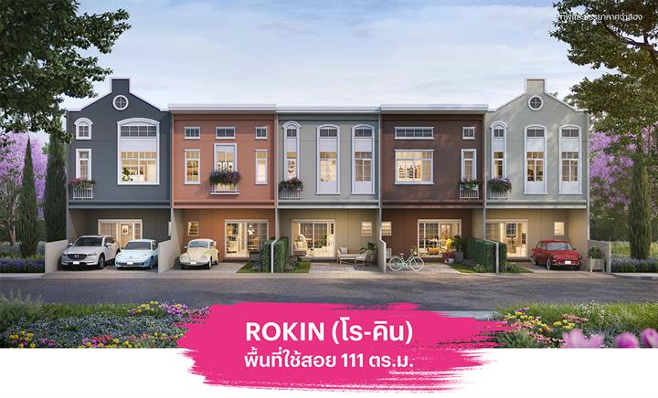 รูปภาพROKIN 