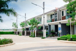 Project Palmspring 12 Picture - 3/10