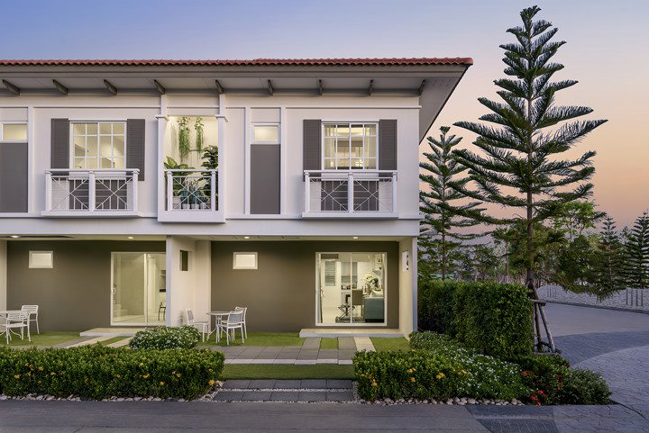 รูปภาพCattleya