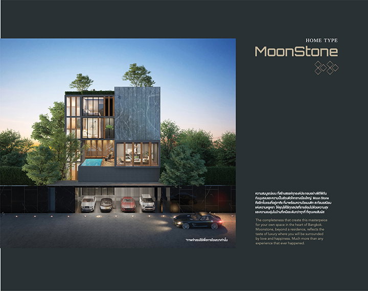 รูปภาพMoonStone