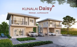 Project Kunalai Daisy Picture - 4/8