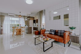 Project Palmspring 12 Picture - 5/10