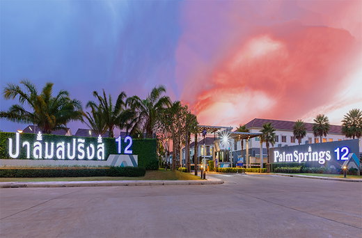 Project Palmspring 12 Picture - 1/10
