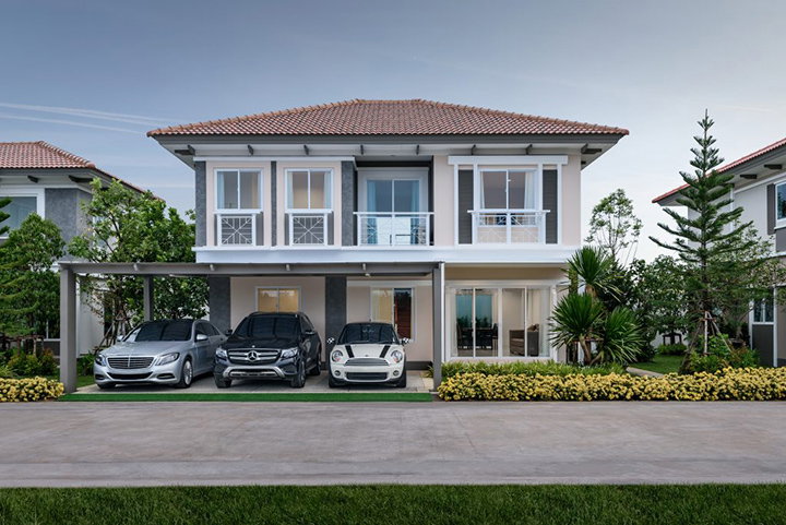 รูปภาพIvy