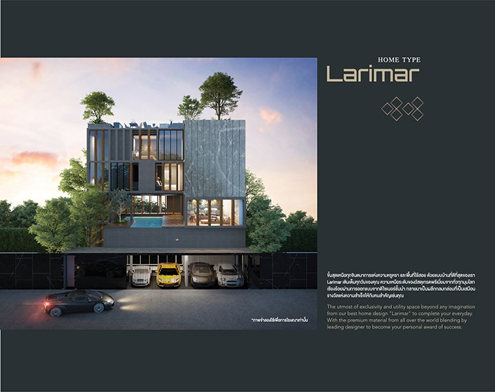 รูปภาพLarimar