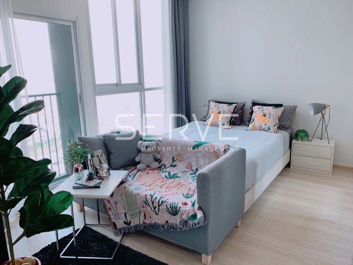 สตูดิโอ แต่งสวยสไตล์ Homey ชั้นสูง 30+ นั่งจิบไวน์ชมวิวสวยๆ บนย่านฮอตอิต ติดMRT ศูนย์วัฒนธรรมฯ 80 ม. / คอนโด ให้เช่า โนเบิล รีวอลฟ์ รัชดา 1 