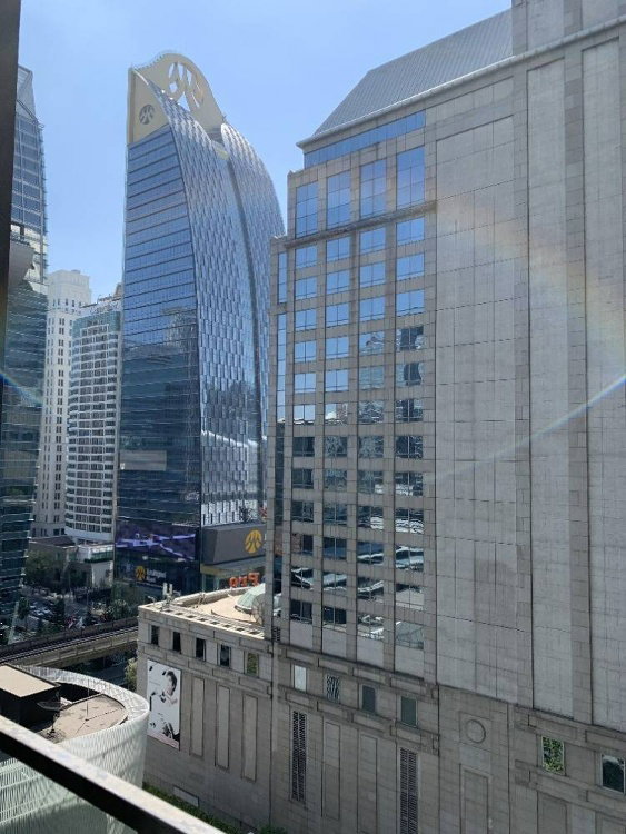 รูป Noble Ploenchit 1 Bed For Rent ID : 145244 - รูปที่ 8/12