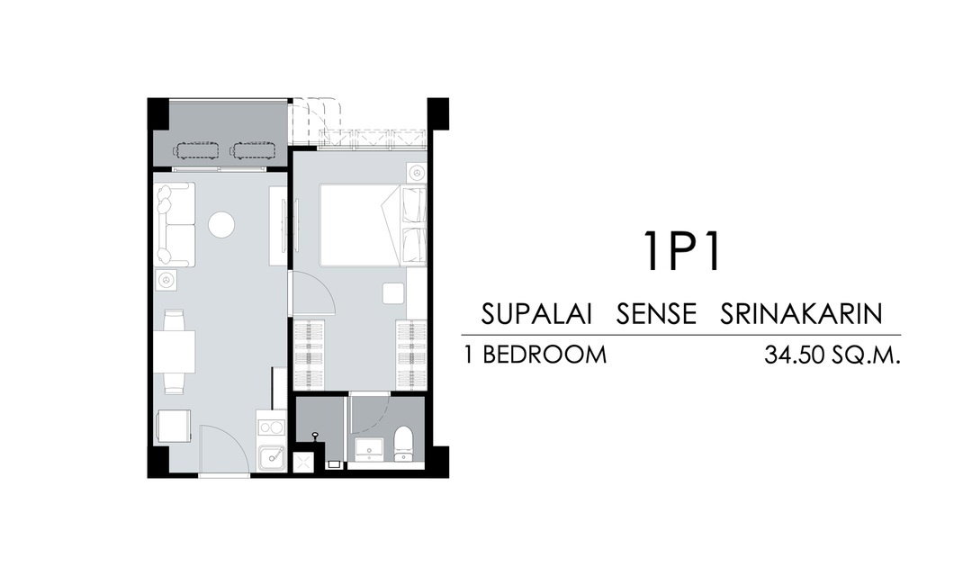 รูปภาพ1P1