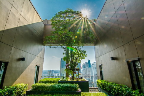 🔥8.36MB🔥 -1 Bed with Bathtub 51.47 sq.m. High Fl. 15+ Good Location BTS Phrom Phong 200 m. at Noble Refine Condo / For Sale