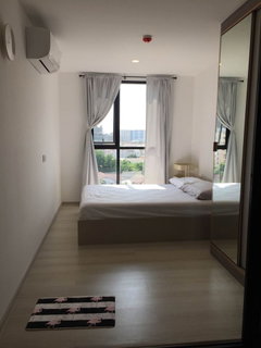 รูปภาพ เคนซิงตัน พหลโยธิน 63 Kensington Phaholyothin 63