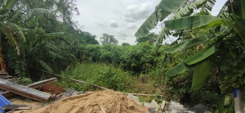 Land for sale, Soi Petchkasem 79 Intersection 9, Nong Khang Phlu, Nong Khaem.