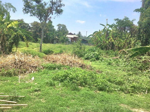 Ph0304 ขายที่ดินเปล่า ใกล้ มบ.ดิเอ็มเพรส เรสซิเด้น ต.สะลวง อ.แม่ริม 151 ตรว. ขาย 1.7 ลบ.