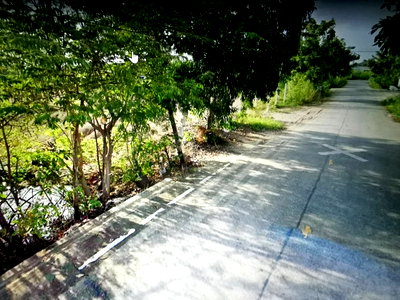 ที่ดิน ม.รังสิต : ขายที่ดิน บ้านกลาง ปทุมธานี ขนาด 200 ตรวา ยังไม่ได้ถมที่ เหมาะกับทำอพารท์เมนต์ หอพัก