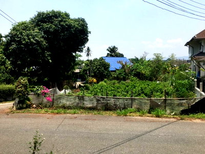 Land for sale Chiang Mai : Land for sale @Maerim , Near  PTT RimTai  1 km. , Buppharam Temple 400 m.