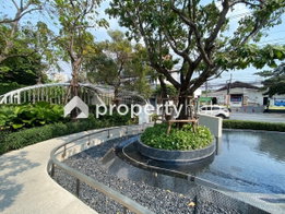 รูป XT EKKAMAI - รูปที่ 5/28