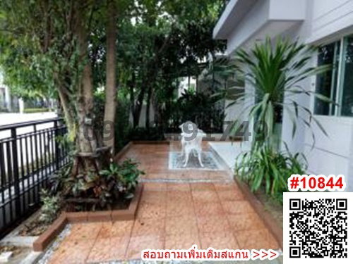 รูป เช่า บ้านเดี่ยว 2 ชั้น ไลฟ์ บางกอก บูเลอวาร์ด วงแหวน – พระราม 9 พร้อมเข้าอยู่ - รูปที่ 8/18