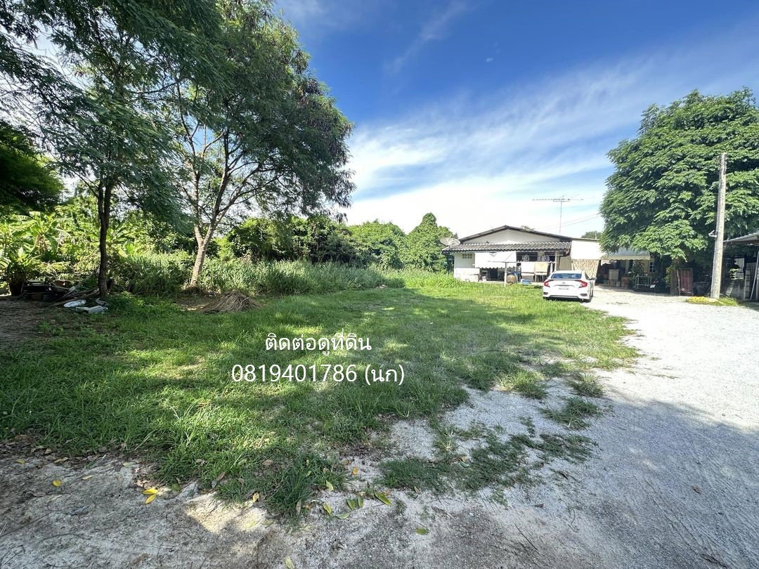 ขายที่ดิน 140 ตร.ว.  ราคา 3,000,000 บาท ฟรีโอนที่ดิน