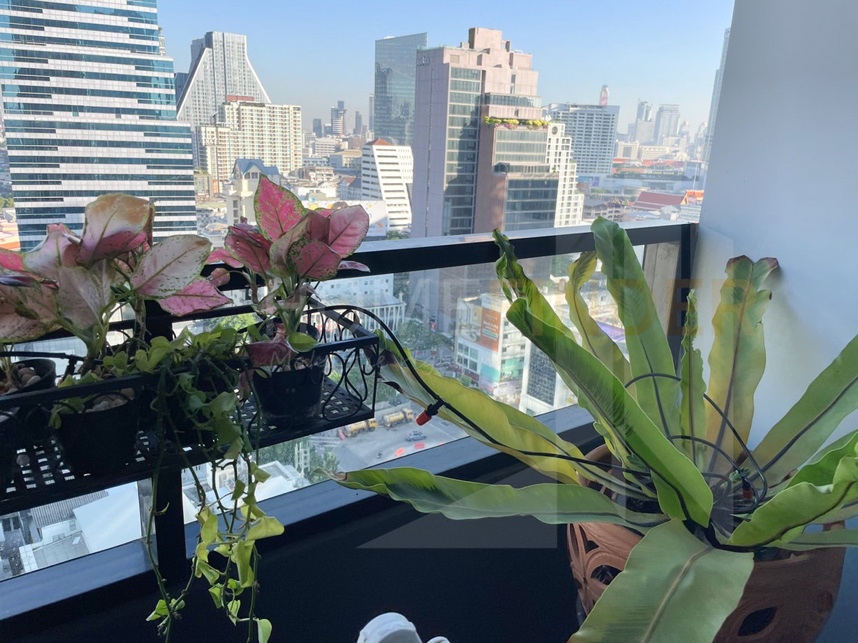 รูป M Silom 2 bedrooms, for rent - รูปที่ 7/7