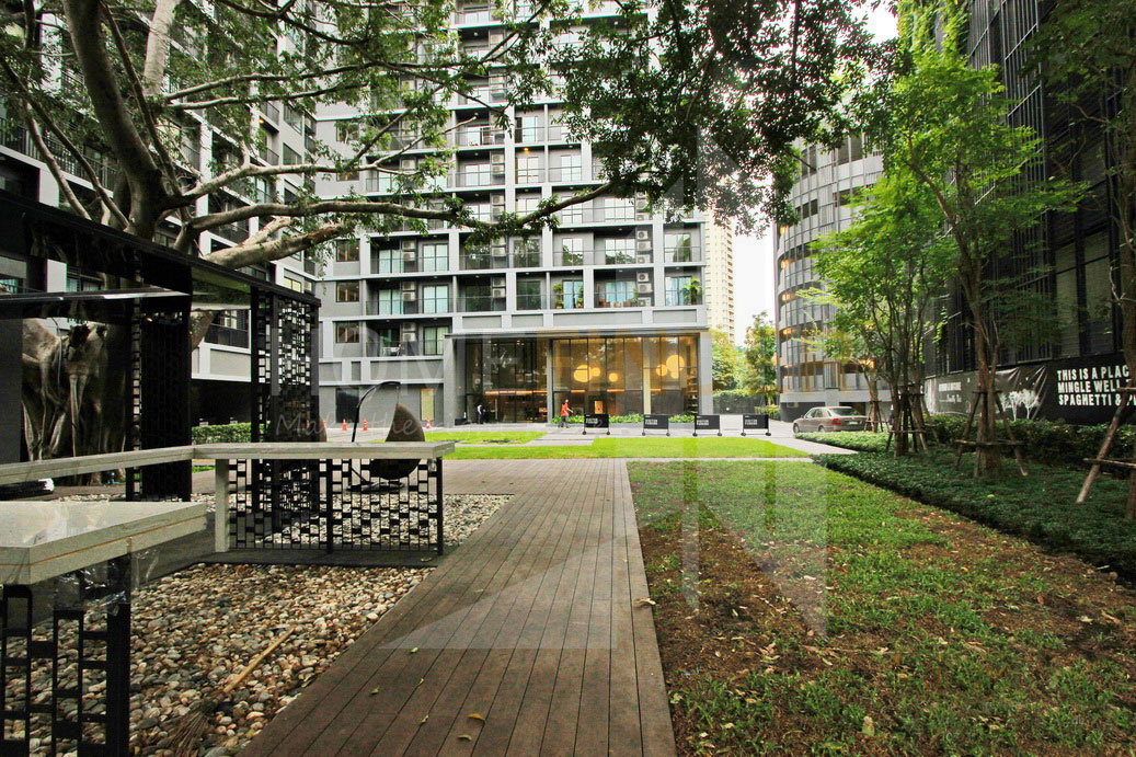 picture The Seed Mingle 1 bedroom, for rent - 12/12