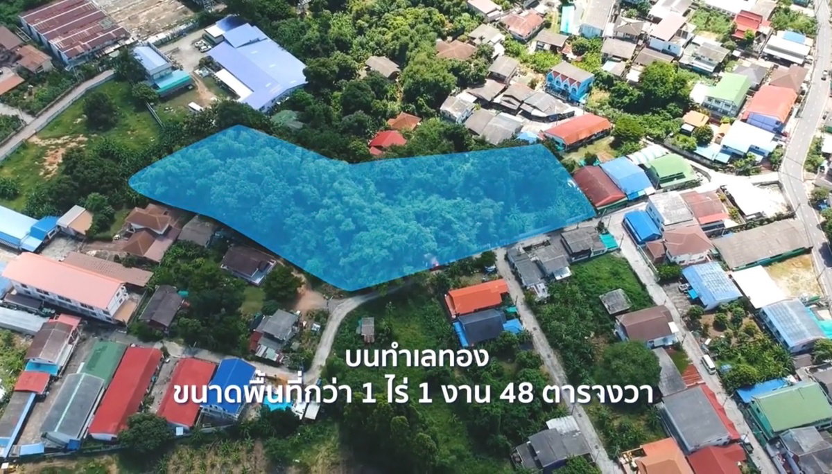 รูป ขาย ที่ดิน ศรีราชา ราคาถูก ใกล้ รพ.สมเด็จ ศรีราชา เพียง 5 นาที  - รูปที่ 1/33