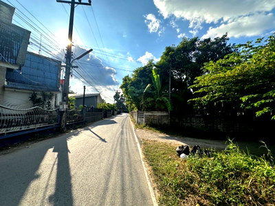 Land for sale Chiang Mai : Land for sale in San Sai, Chiang Mai