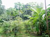 listing thumbnail image 24
