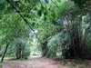 listing thumbnail image 17