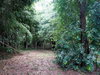 listing thumbnail image 10
