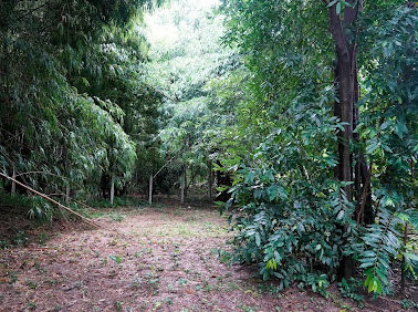รูป ขาย ที่ดิน ศรีราชา ราคาถูก ใกล้ รพ.สมเด็จ ศรีราชา เพียง 5 นาที  - รูปที่ 11/33